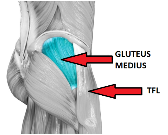 tfl-glut-med