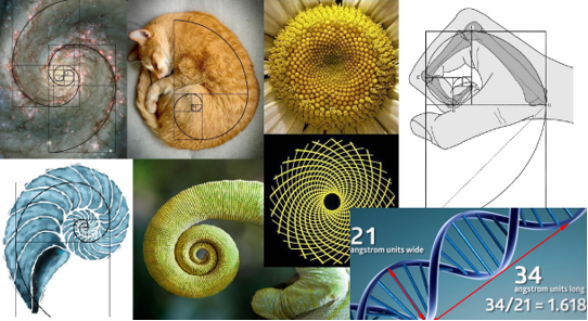 fibonacci