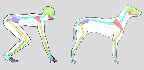 roke-noge