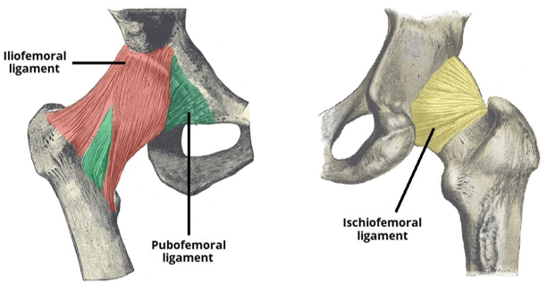 if-pf-ligament