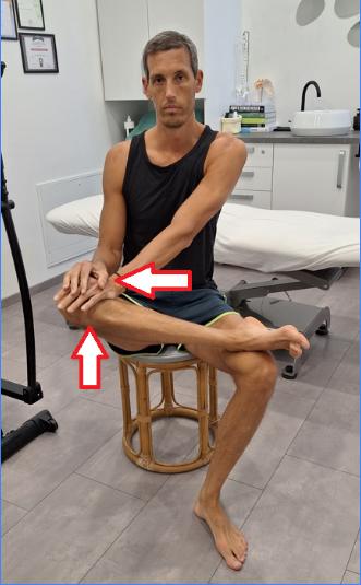 piriformis1